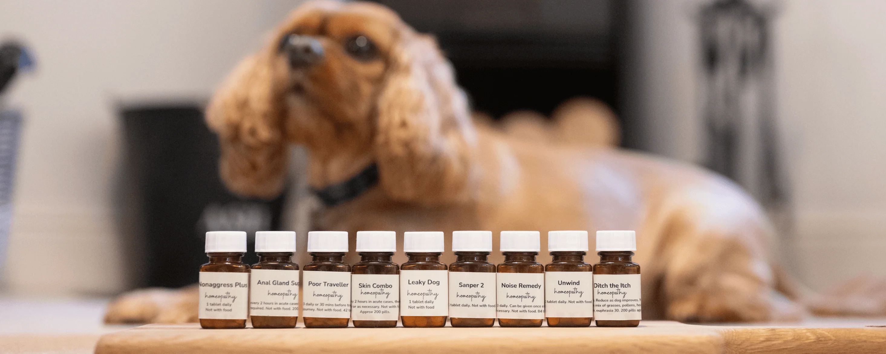Supercharge Your Dog's Natural Health