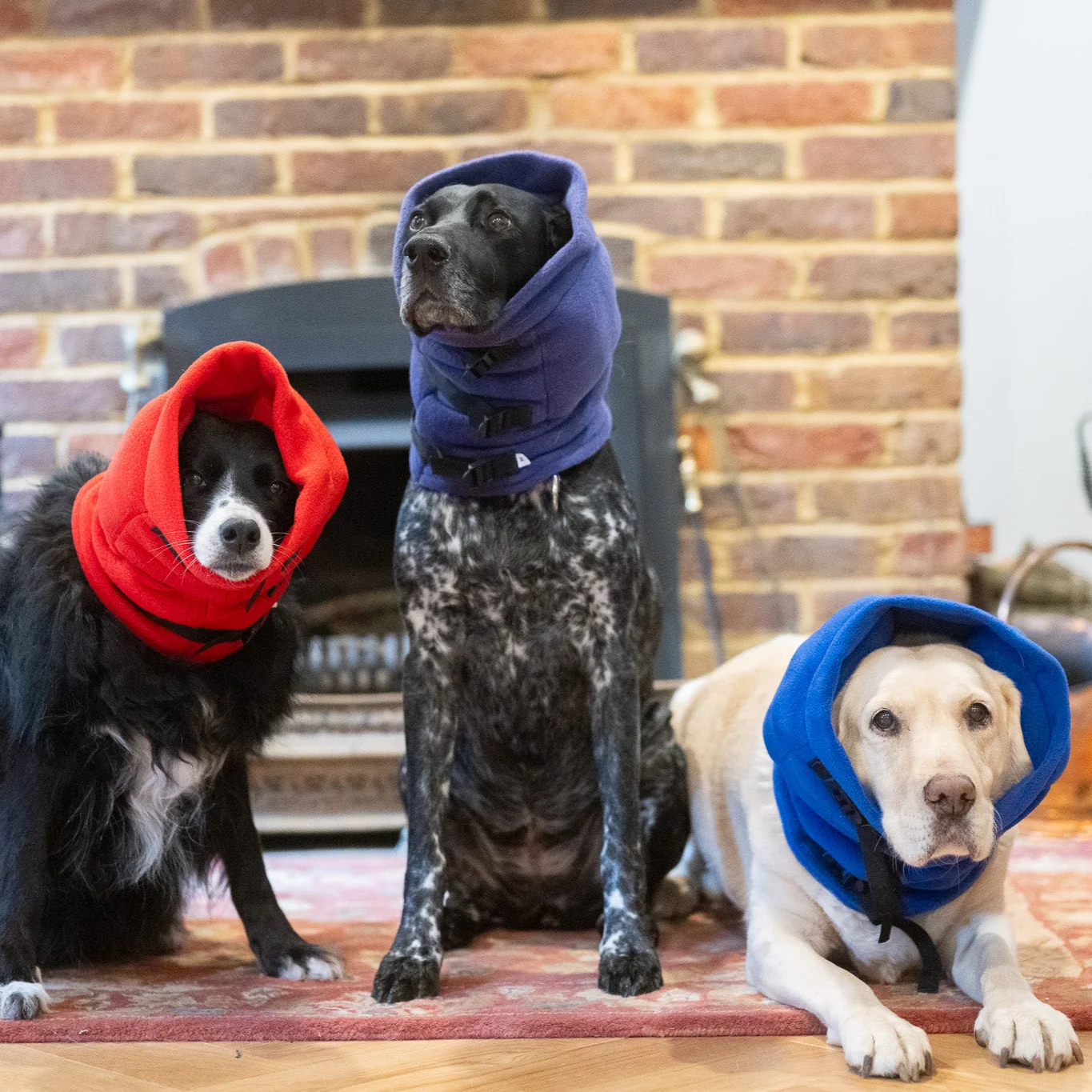 Anti-panic Dog Snood for Noise Sensitivity - Image 3