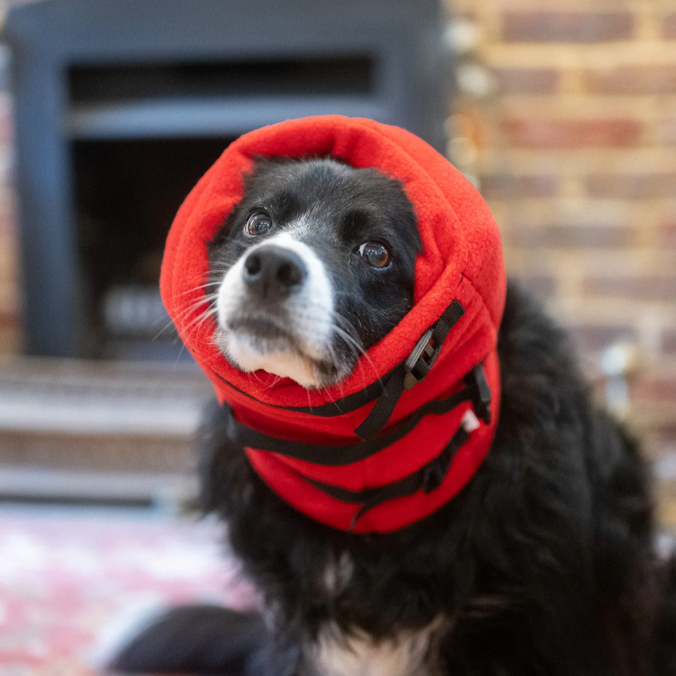 Anti-panic Dog Snood for Noise Sensitivity - Image 4