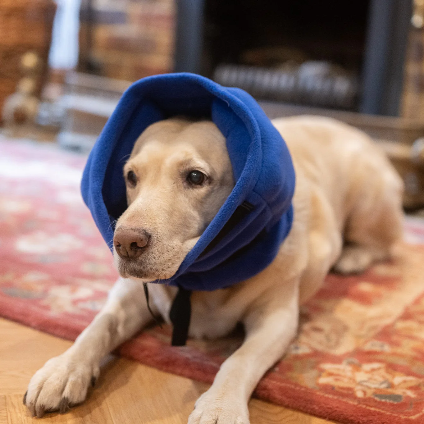 Anti-panic Dog Snood for Noise Sensitivity - Image 5