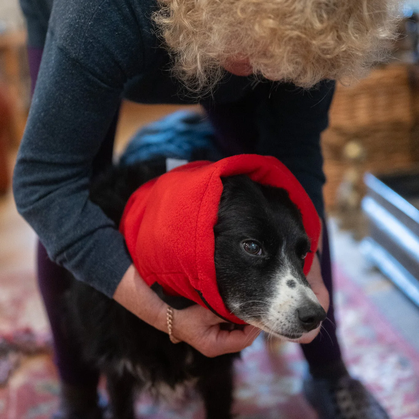Anti-panic Dog Snood for Noise Sensitivity - Image 7