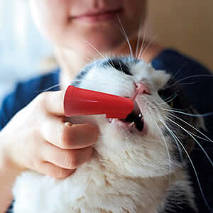 Beaphar Finger Toothbrush for Dogs 2 pack - Image 4