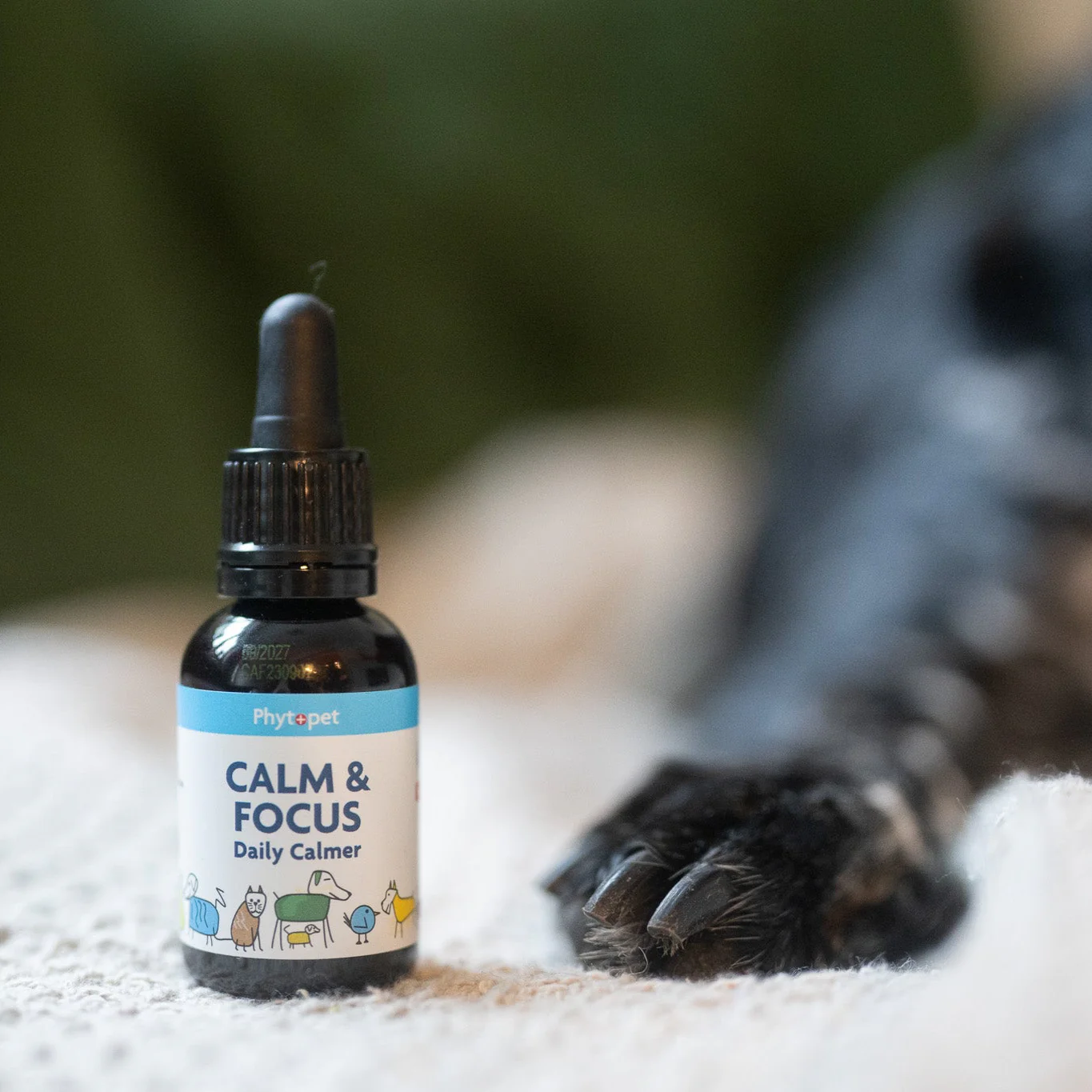 Calm and Focus Herbal Tincture for Dogs - Image 3