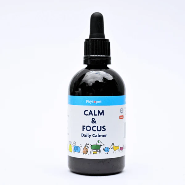 Calm and Focus Herbal Tincture for Dogs - Image 4
