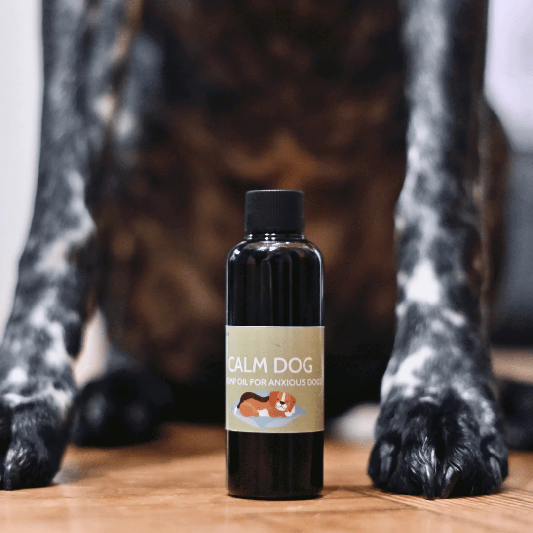 Calm Dog Hemp Oil for Anxious Dogs 100ml - Image 3