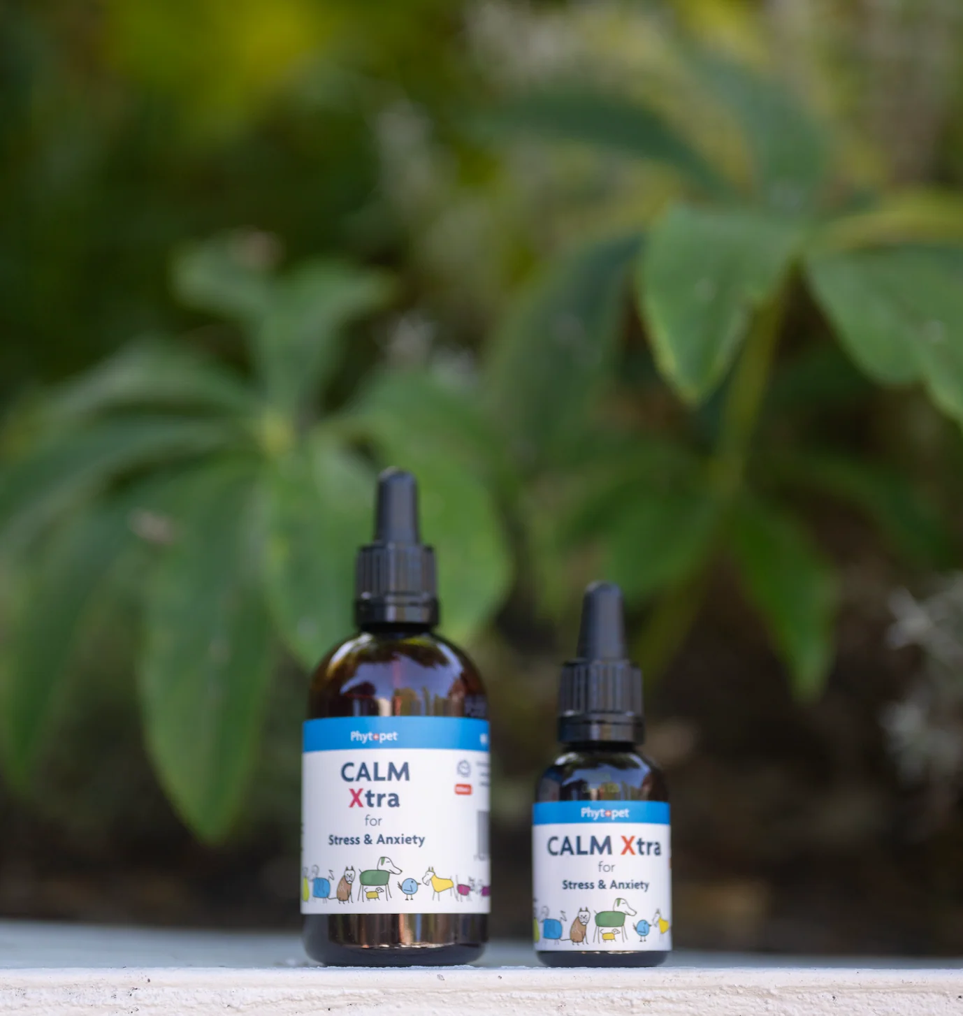 Calm Xtra Natural Calming Drops for Dogs - Image 3