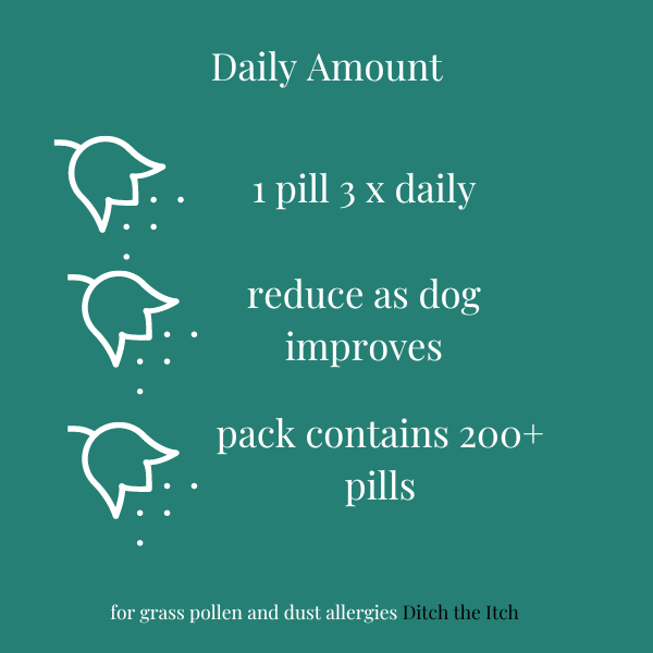 Ditch the Itch Homeopathy for Dogs with Grass or Pollen Sensitivity - Image 3