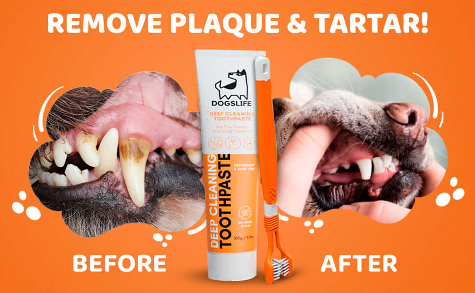 Dog's Life Toothpaste - Image 2