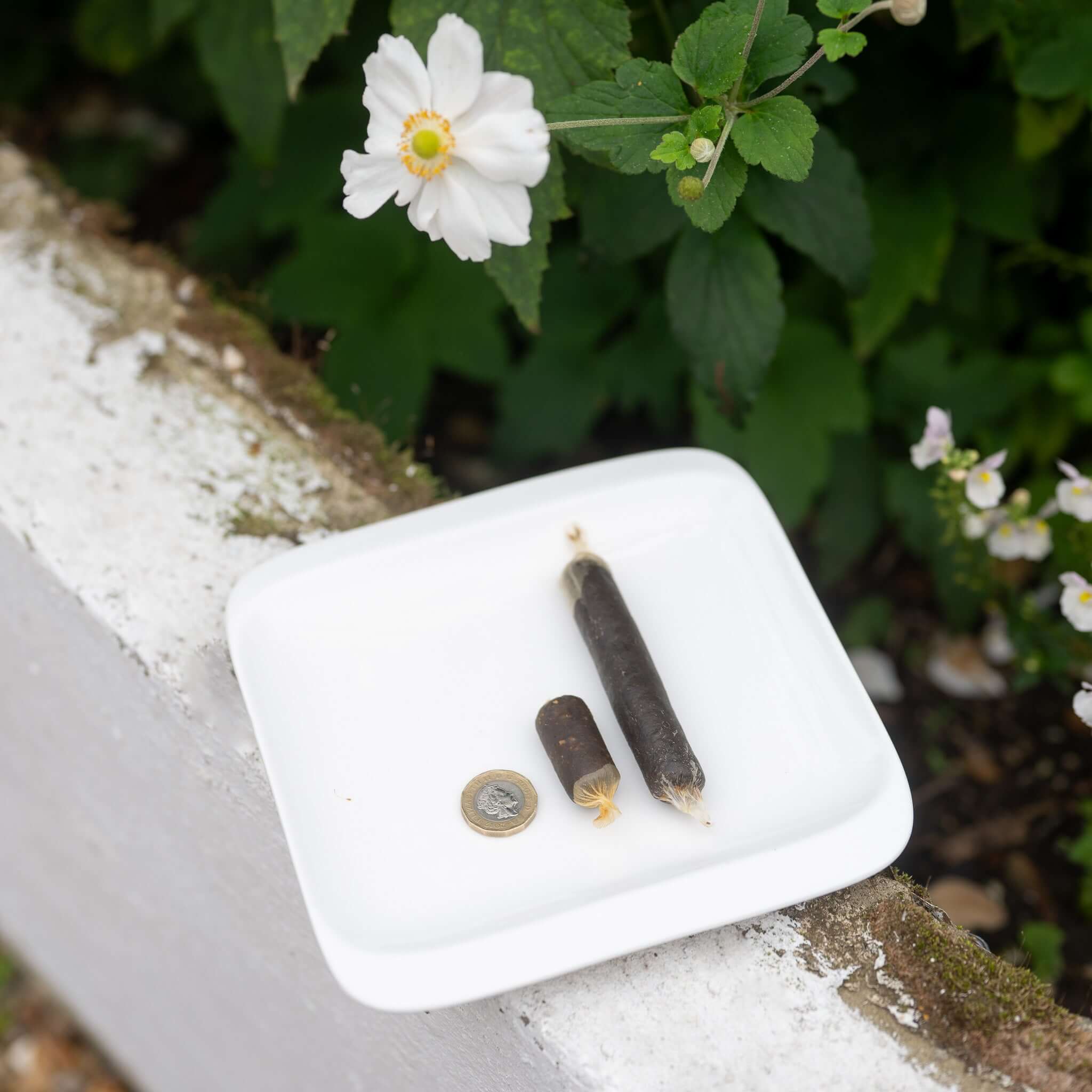 Eden Sausage Treats for Dogs - Image 7