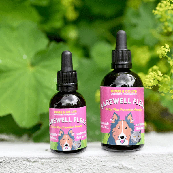 Farewell Fleaz Natural Flea and Tick Care for Dogs and Cats - Image 4
