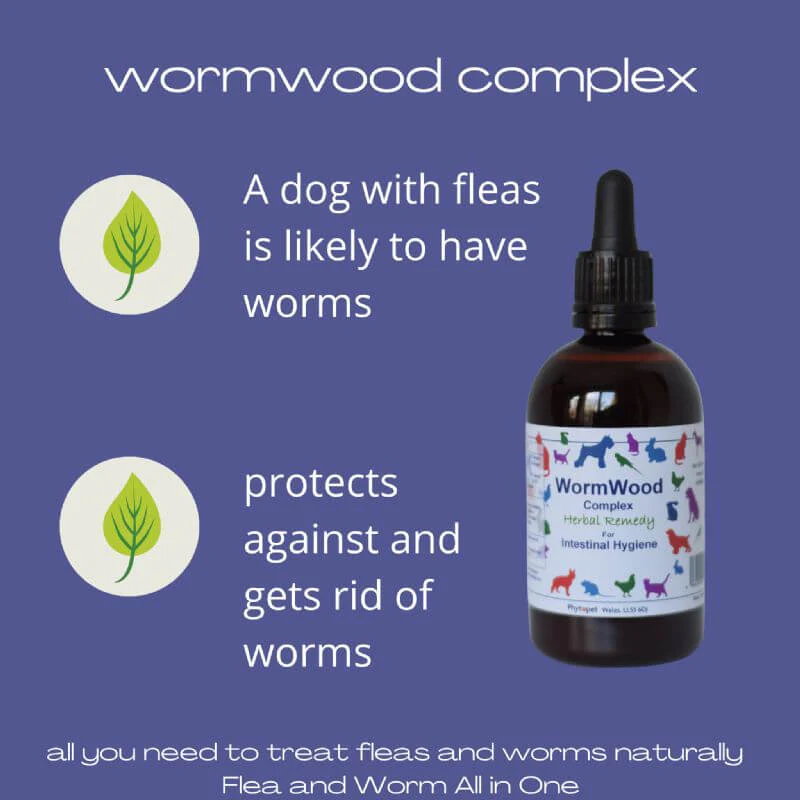 Flea and Worm All in One Bundle - Image 3