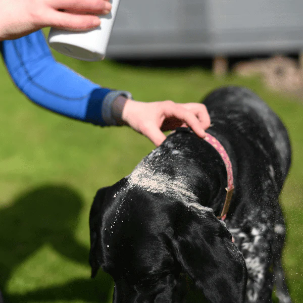 Get Rid Natural Flea Powder for Dogs 200g - Image 2