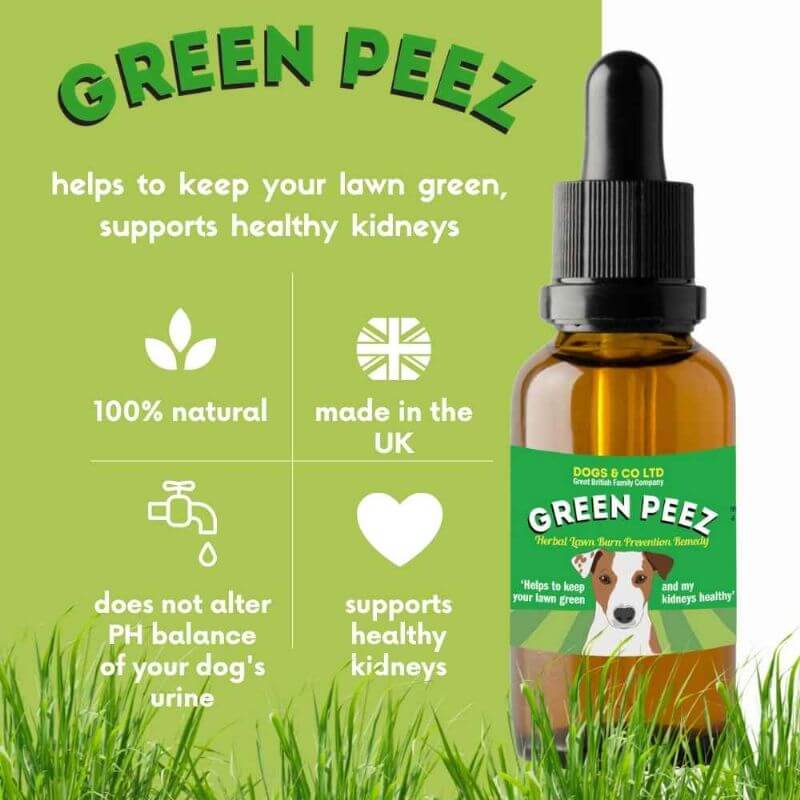 Green Peez 100ml Dog urine grass repair. Neutralise dog urine grass. - Image 4