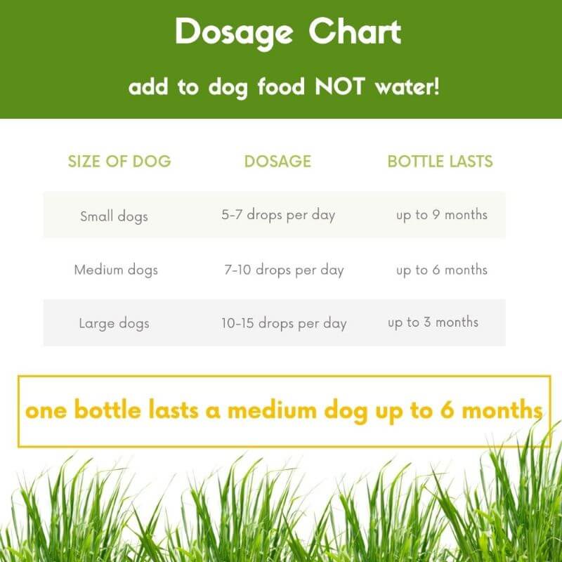 Green Peez 100ml Dog urine grass repair. Neutralise dog urine grass. - Image 5