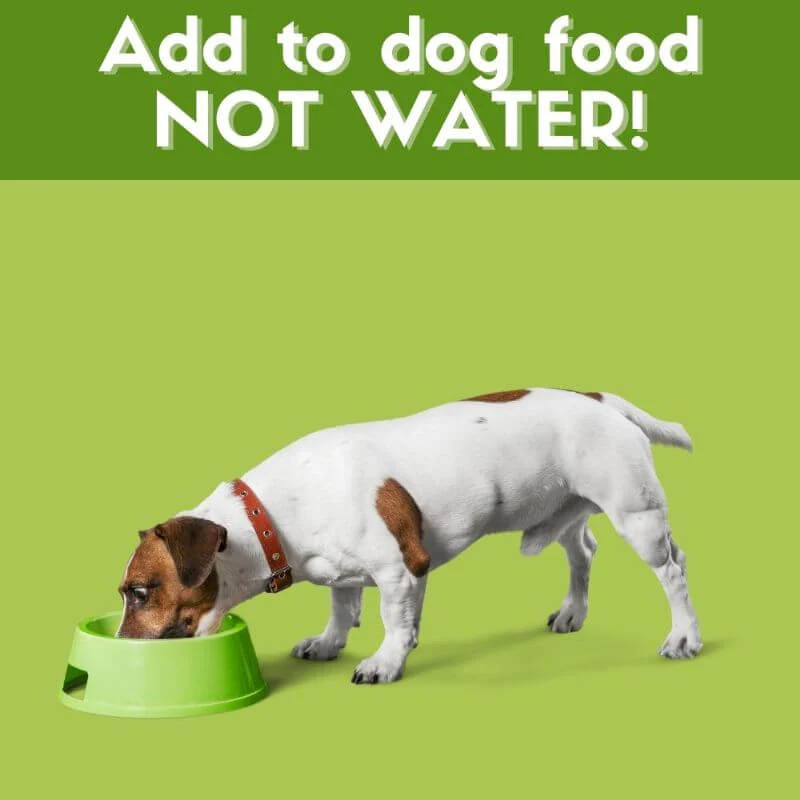Green Peez 100ml Dog urine grass repair. Neutralise dog urine grass. - Image 7