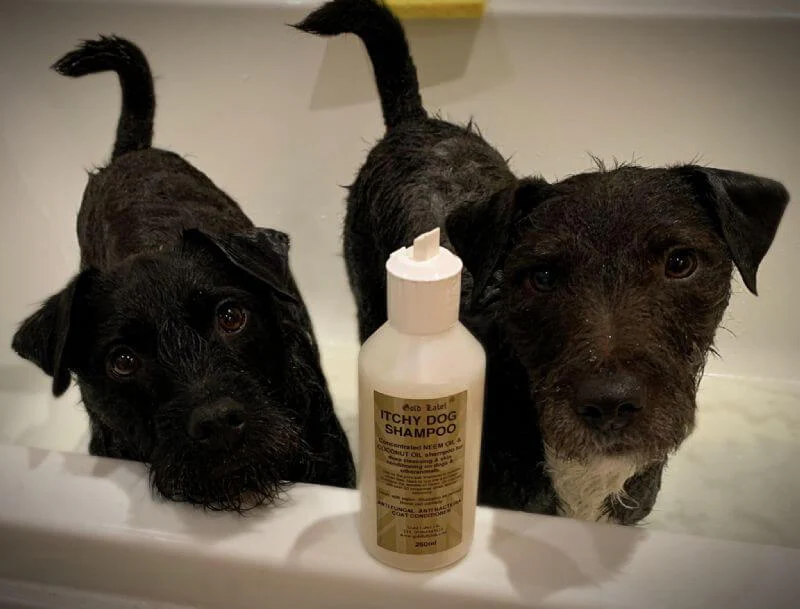 Itchy Dog Shampoo - Image 3