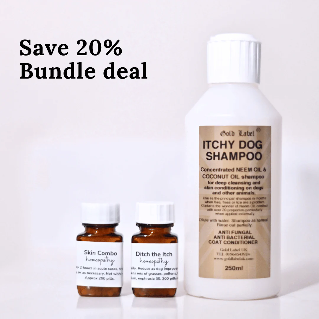 Itchy Dog Shampoo - Image 4