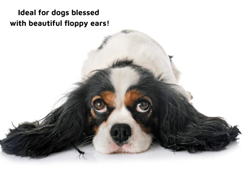 LUCAA+ Pet Probiotic Ear Care - Image 3