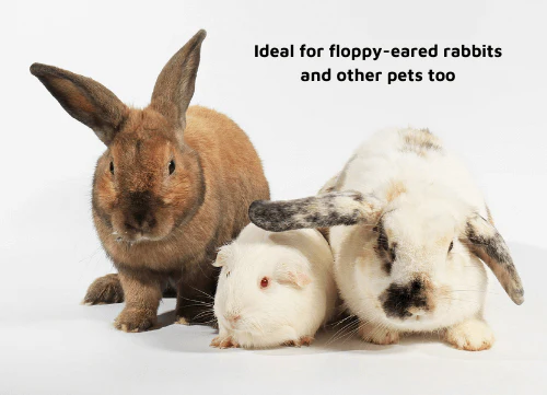 LUCAA+ Pet Probiotic Ear Care - Image 5