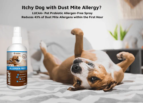 Lucaa+ Pet Probiotic Allergen Free Skin Spray - Image 5