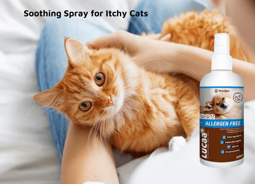 Lucaa+ Pet Probiotic Allergen Free Skin Spray - Image 6