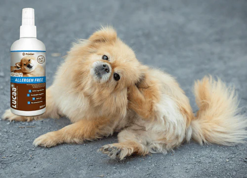Lucaa+ Pet Probiotic Allergen Free Skin Spray - Image 7