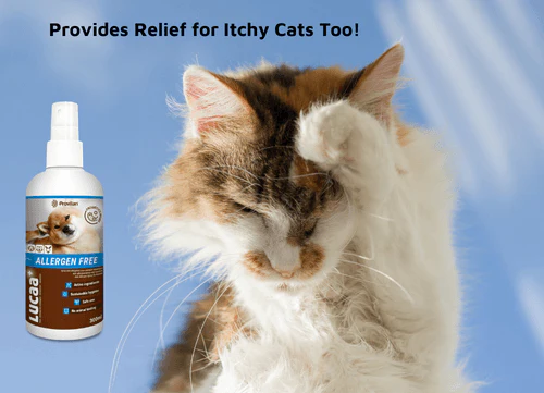 Lucaa+ Pet Probiotic Allergen Free Skin Spray - Image 8