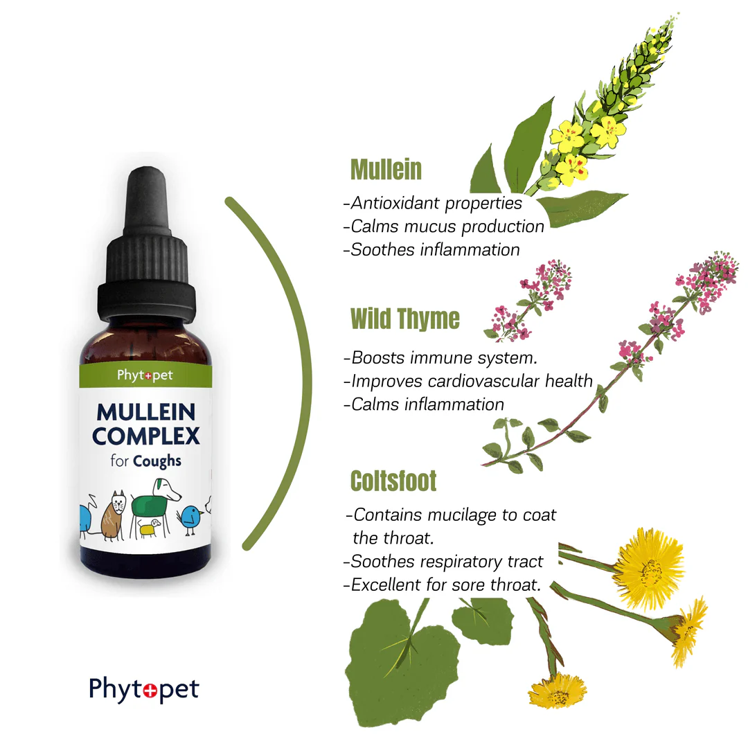 Mullein Complex for Dogs - Image 3
