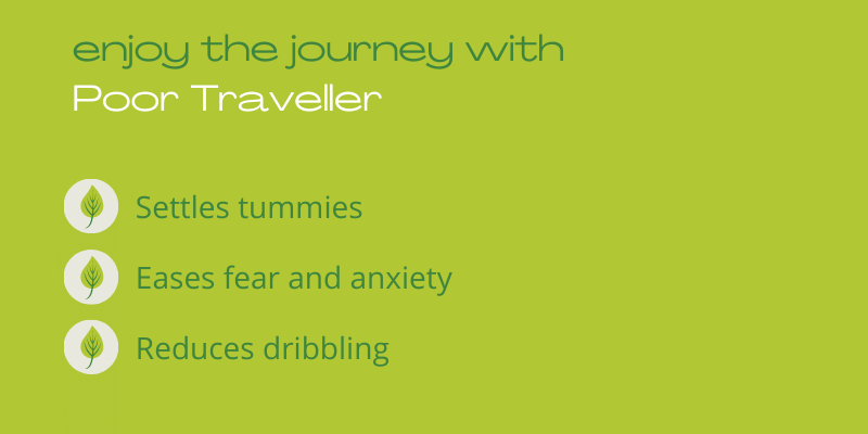 Poor Traveller Travel Sickness Tablets for Dogs - Image 4