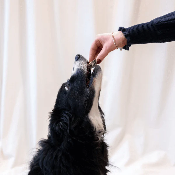 White Fish Skin Treats for Dogs - Image 4
