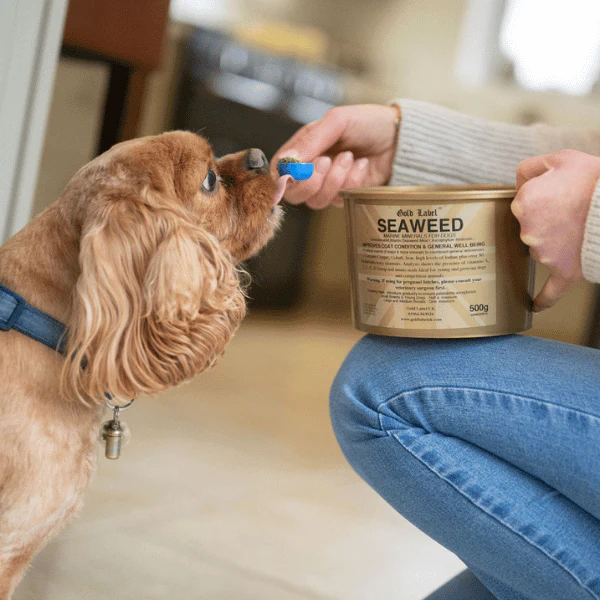 Seaweed Supplement for Dogs/Gold Label 500g - Image 3