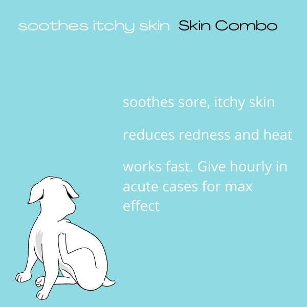 Skin Combo/Homeopathy for Dog/Calm Itchy Sore Skin 200+pills - Image 3