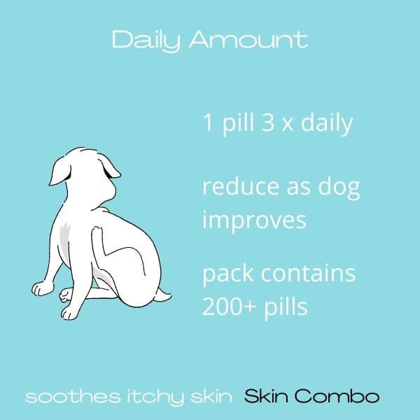 Skin Combo/Homeopathy for Dog/Calm Itchy Sore Skin 200+pills - Image 4