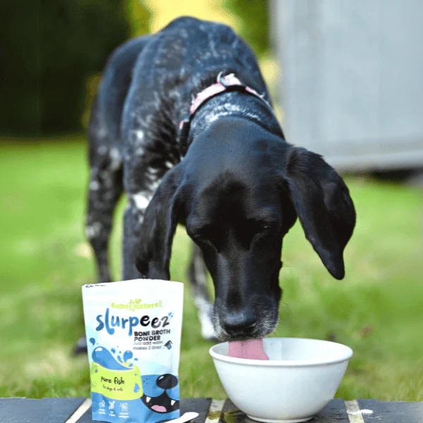 Slurpeez Bone Broth Powder for Dogs - Image 5