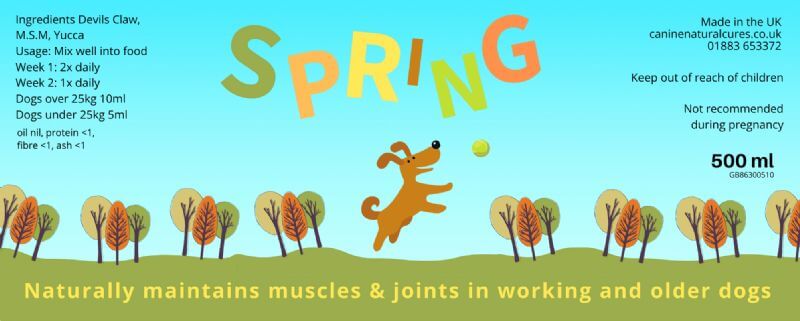 Spring Joint Supplement for Dogs - Image 4