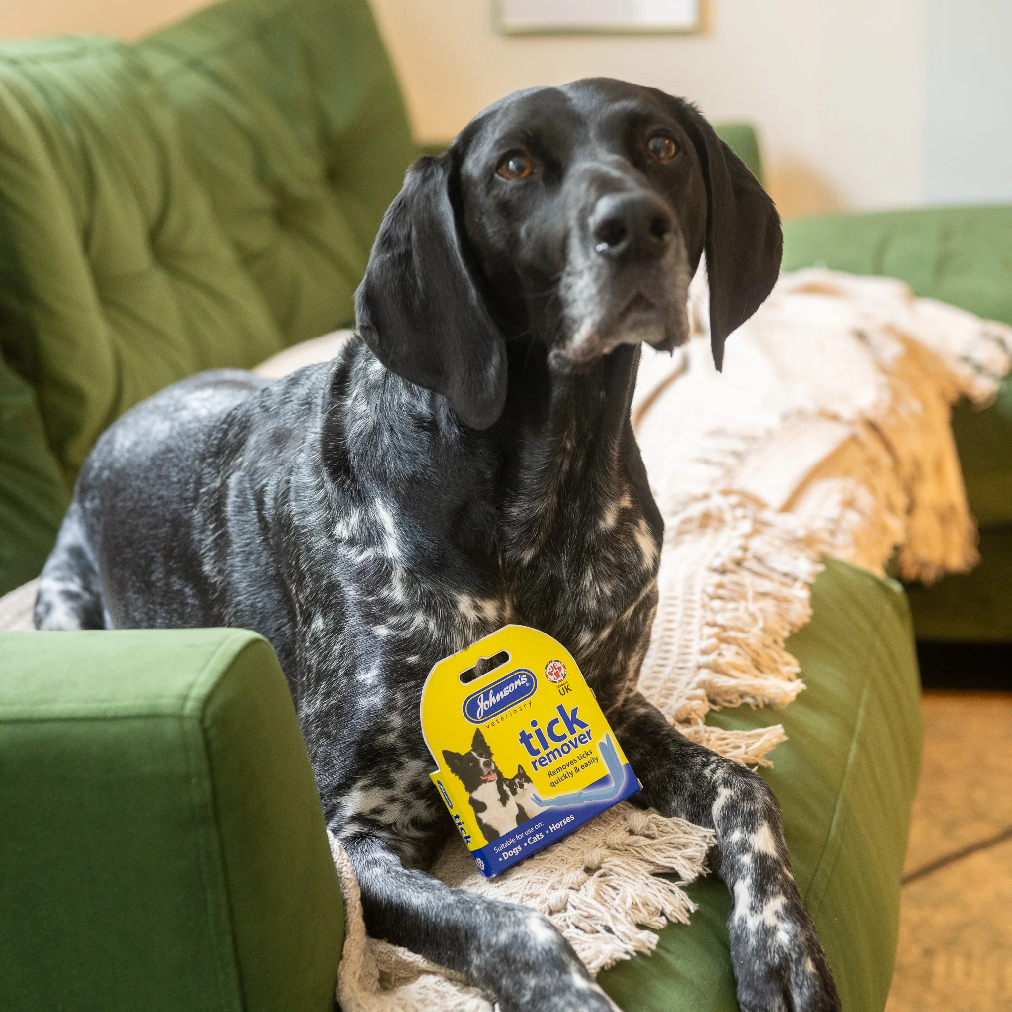 Tick Remover - Image 2