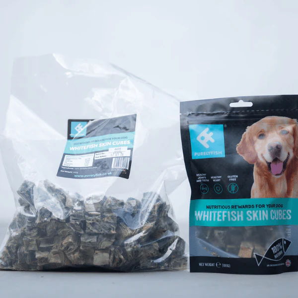 Christmas Gifts for Dogs
